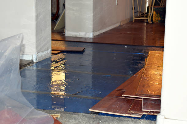 Professional Basement Water Removal technician working in Woodland, WI